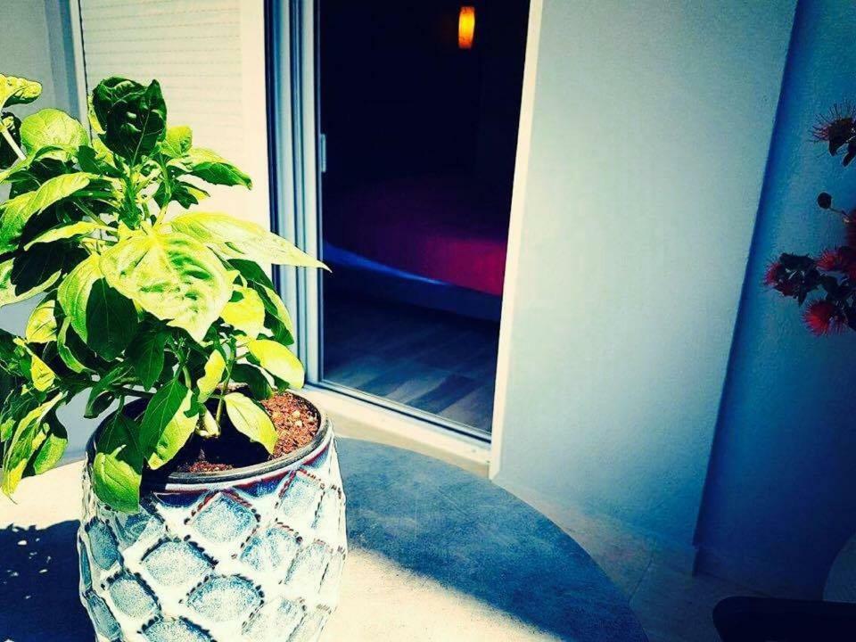 Luxury Apartments Near To The Beach بلاكاس المظهر الخارجي الصورة